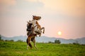 Man riding horse in field against sunset and mountain Royalty Free Stock Photo