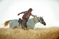 Yeeha. A cowboy on his horse. Royalty Free Stock Photo