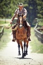 Yeeha. A cowboy on his horse. Royalty Free Stock Photo