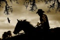 A cowboy, horse and birds in sepia. Royalty Free Stock Photo