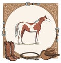 Cowboy horse equine riding tack tool in the western leather belt frame. Royalty Free Stock Photo
