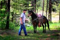 Cowboy and Horse Royalty Free Stock Photo