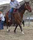 Cowboy on horse pulling rope