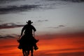 Cowboy on a horse Royalty Free Stock Photo