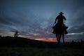 Cowboy on a horse Royalty Free Stock Photo