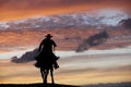 Cowboy on a horse Royalty Free Stock Photo