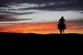 Cowboy on a horse Royalty Free Stock Photo