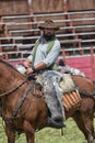 Cowboy on horseback in rodeo arena