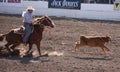 Cowboy horseback roping calf