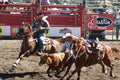 Cowboy jumping out to take down steer