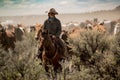 Cowboy leading horse herd through dust and sage brush during roundup