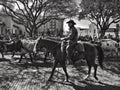 Cowboy with Longhorn cattle in Fort Worth Stockyards