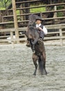 Cowboy on Pony