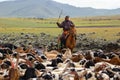 Cowboy pushing herd of goats in Mongolia Royalty Free Stock Photo