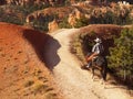 Cowboy Ride Horse, Bryce National Park, Utah Royalty Free Stock Photo