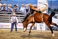 A cowboy rides a bucking bronco at the Warbonnet Roundup Rodeo Royalty Free Stock Photo