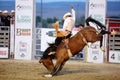 A cowboy rides a bucking bronco at the Warbonnet Roundup Rodeo