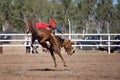 Bareback Bucking Bronc Riding At Country Rodeo Royalty Free Stock Photo