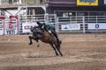 Cowboy Rides a Bucking Horse