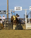 Cowboy rides a bucking horse at rodeo