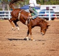 Cowboy Rides Bucking Rodeo Horse