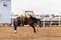 Cowboy On Bucking Bronc Royalty Free Stock Photo