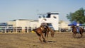 Cowboy Riding A Bucking Bronc Horse Royalty Free Stock Photo
