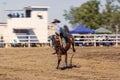 Cowboy Riding A Bucking Bronc Horse Royalty Free Stock Photo