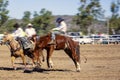 Cowboy Riding A Bucking Bronc Horse Royalty Free Stock Photo