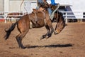 Bucking Bronc Horse At Country Rodeo Royalty Free Stock Photo