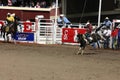 Cowboy riding bucking bronco Royalty Free Stock Photo