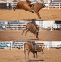 Cowboy Riding Bucking Bull Collage Royalty Free Stock Photo