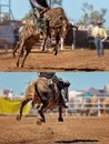 Cowboy Riding Bucking Bull Collage Royalty Free Stock Photo