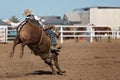 Cowboy Riding Bucking Bull At Country Rodeo Royalty Free Stock Photo