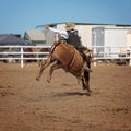 Cowboy Riding A Bucking Bull At A Country Rodeo Royalty Free Stock Photo