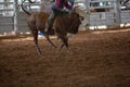 Cowboy On A Bucking Bull At Rodeo Royalty Free Stock Photo