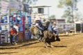 A Cowboy Riding A Bucking Bull At Rodeo Royalty Free Stock Photo