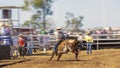 A Cowboy Riding A Bucking Bull At Rodeo Royalty Free Stock Photo