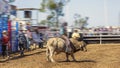 A Cowboy Riding a Bucking Bull At A Rodeo Royalty Free Stock Photo