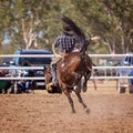 Cowboy Riding Bucking Horse Royalty Free Stock Photo