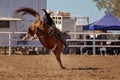 Cowboy Riding A Bucking Horse Royalty Free Stock Photo