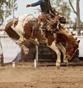 Saddle Bronc Riding At An australian Country Rodeo Royalty Free Stock Photo