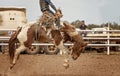 Saddle Bronc Riding At An australian Country Rodeo Royalty Free Stock Photo