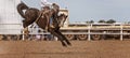 Saddle Bronc Riding At An australian Country Rodeo Royalty Free Stock Photo