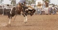 Saddle Bronc Riding At An Australian Country Rodeo Royalty Free Stock Photo