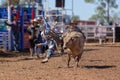 Cowboy Riding Bull At A Country Rodeo
