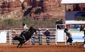 Cowboy riding a bull