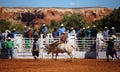 Cowboy riding a bull