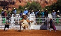 Cowboy riding a bull