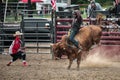 Cowboy riding a bull at the Wyandotte County Kansas Fair Rodeo